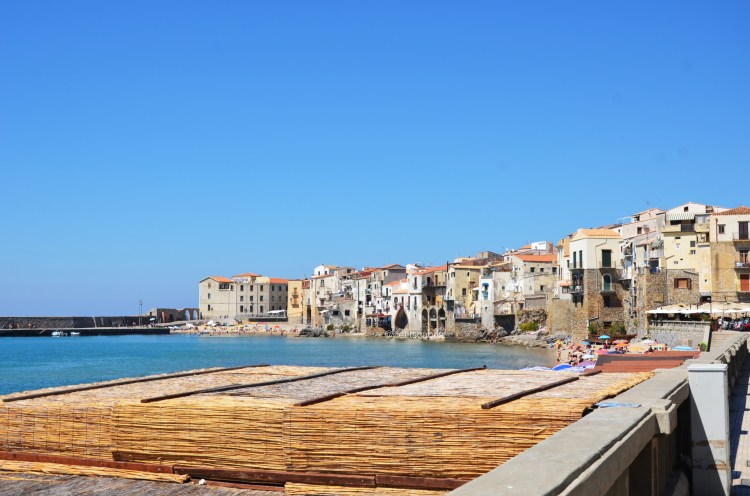 NAB_1589.JPG