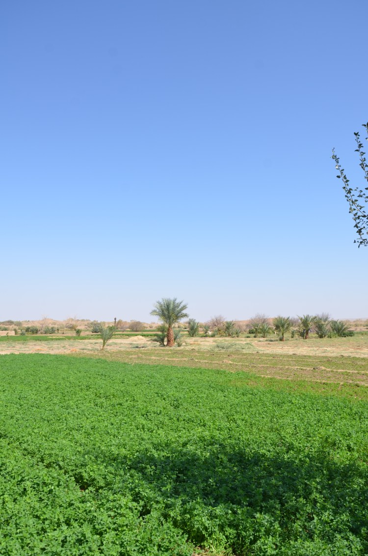 NAB_4180.JPG