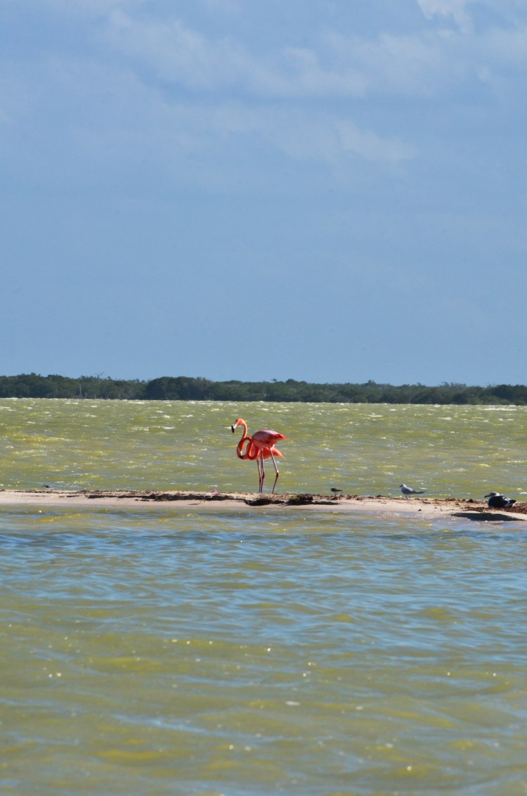 NAB_5848.JPG