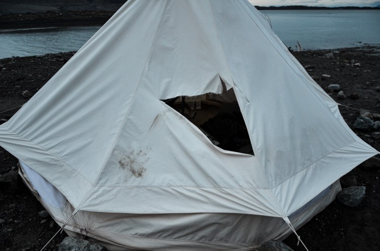NAB_8144.jpg