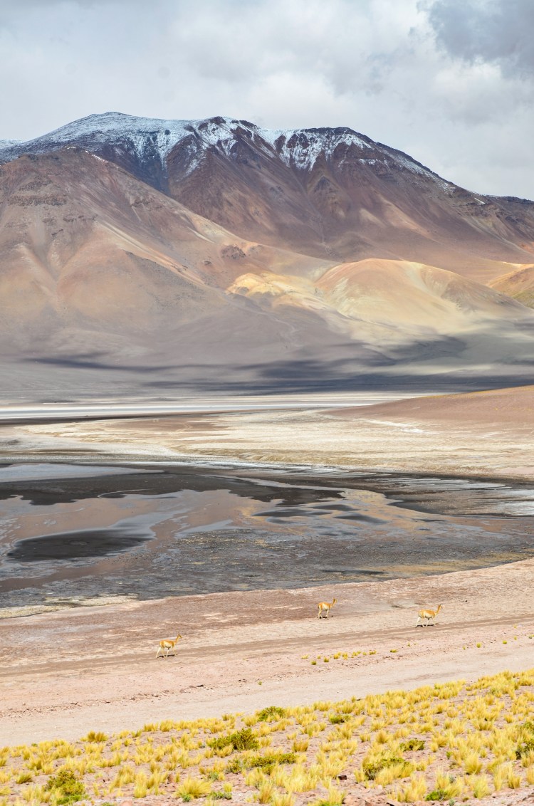 _NAB2165.jpg