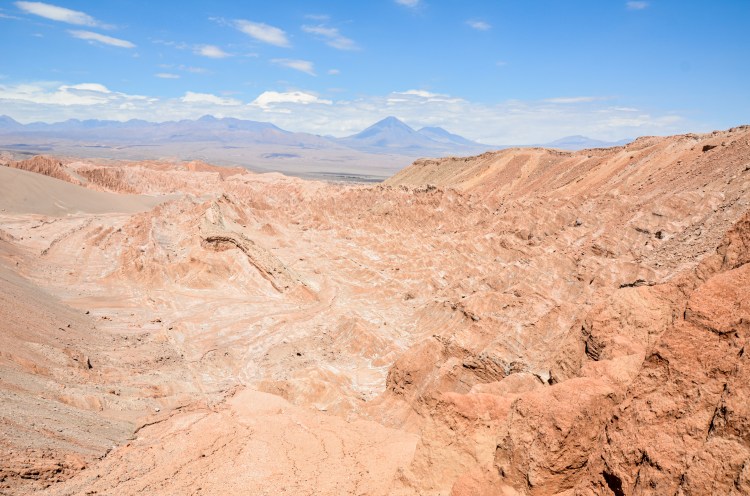 _NAB2519