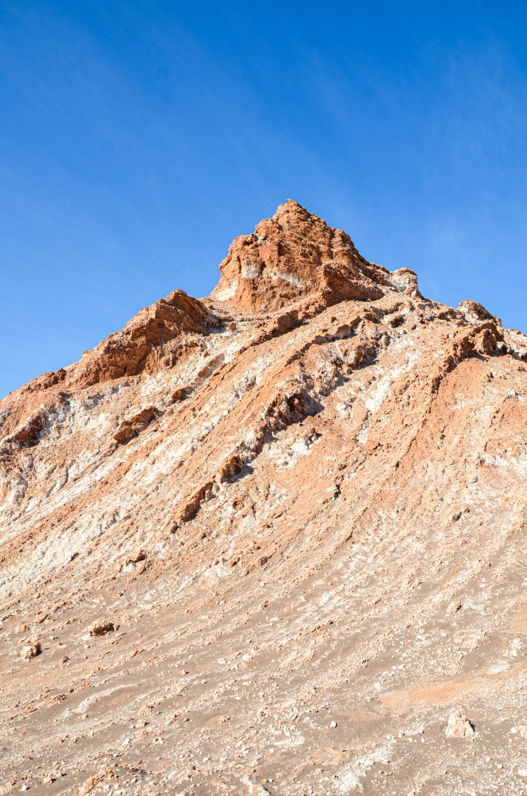 _NAB2559