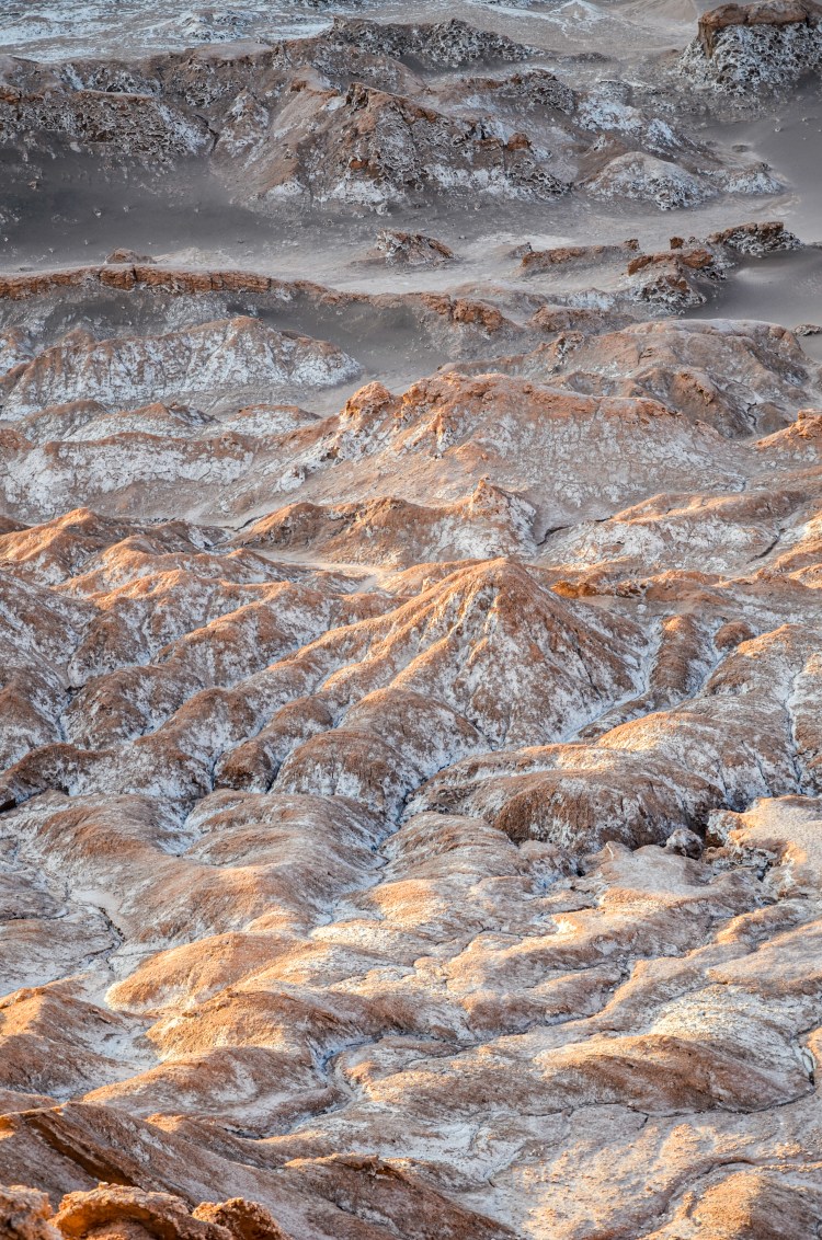 _NAB2647