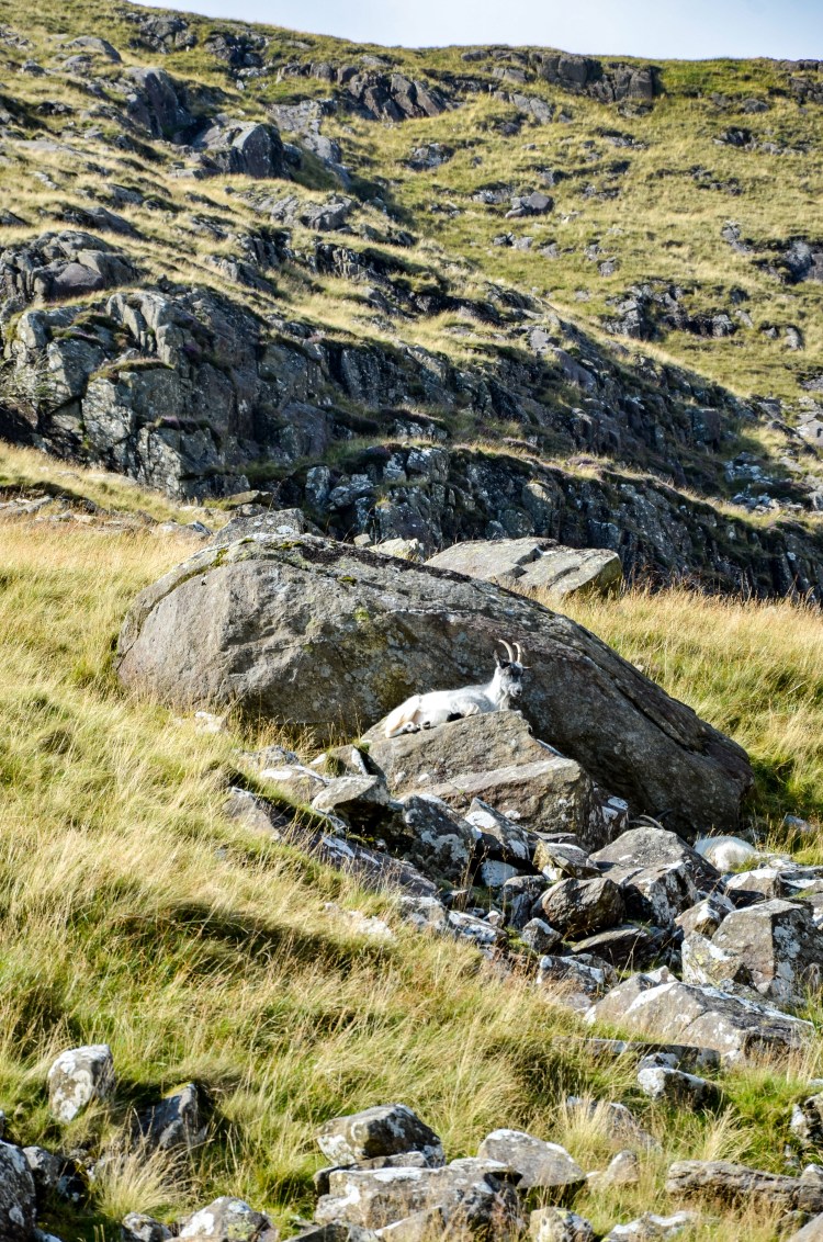 _NAB0201